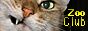 img61187.png