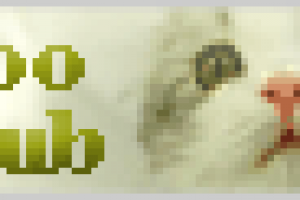 Банер1  ZooClub