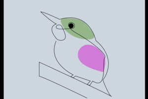 The Bird one line art