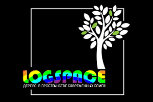 Вариант логотипа