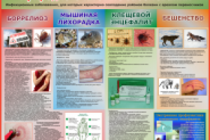 Работа 1466291