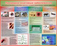 img1466291.png
