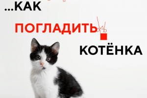 Промо-ролик для соц. сетей 2