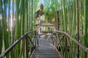 Работа 4048574