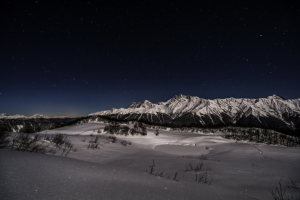 Работа 4048586