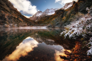 Работа 4048583