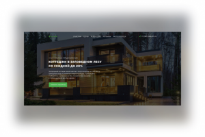 Коттеджный поселок "Лесной пейзаж"