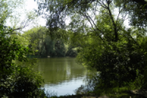 Природа России