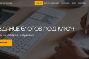 http://vipblog.pro/ - бюджетный вариант