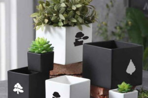 Серия знаков БАТАНИКА