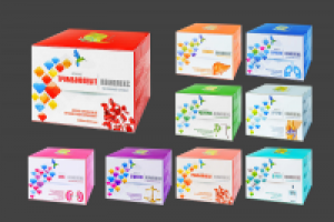 Работа 2154690