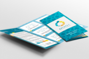 Работа 2351063