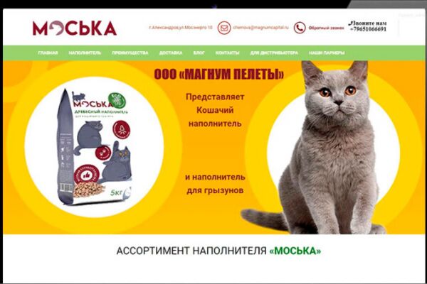 img3982990.png