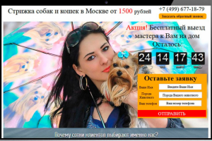 Стрижка собак