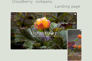 Landing page for cloudberry company