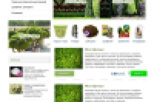 Интернет-магазин "Мох сфагнум"