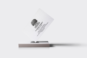 Praveks | Визитка