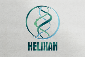 Работа 3376979