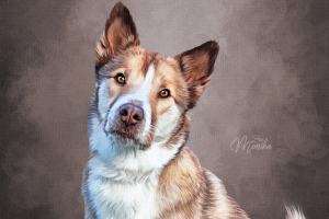 Digital Dog Oil (цифровой портрет)