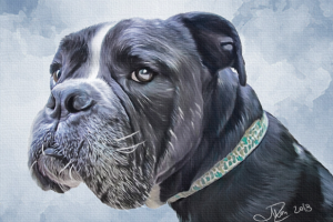 Jeff (Digital Painting)