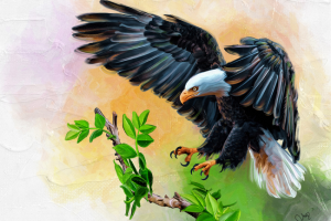 Орел (PuzOwl) цифровая живопись. Масло.