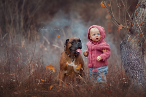 Осенняя нежность (художественная ретушь)