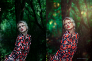 В лесу (ретушь)