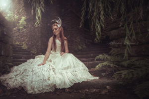 Сбежавшая невеста (художественная обработка)