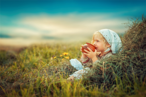 Там, где бархатное лето (художественная обработка)