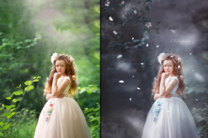 Художественная обработка в сиреневых тонах