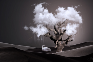 Дерево погоды (фото-арт)