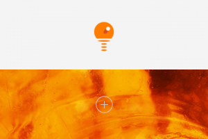 Янтарная ракетка