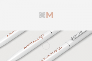 Senator pen mockup. Point