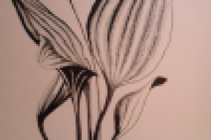 Работа 1997319