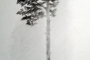 Работа 1997316