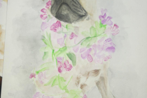 Портрет собаки акварелью