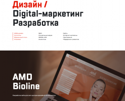 Bearrry - Дизайн Разработка Продвижение сайтов