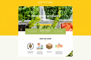 Сайт для онлайн магазина фермерских продуктов