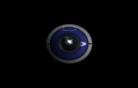 img1954200.png