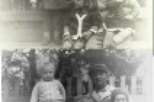 Любительское