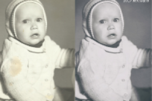 10 месяцев (1981)