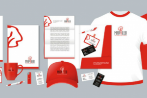 Работа 3721253