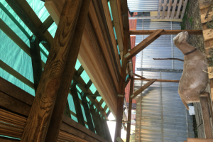 Подсобные постройки