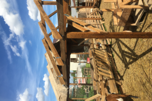 Подсобные постройки