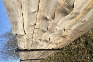 Ограждение участка