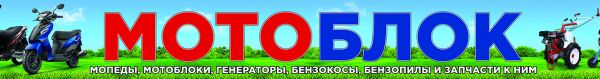 img3653118.png