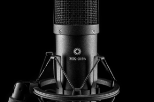 Работа 3698673