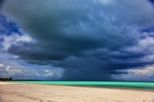 Работа 3366411