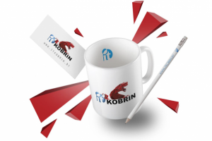 Фирменный стиль для "IT Kobrini"