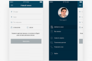 IBEX — iOS App Design